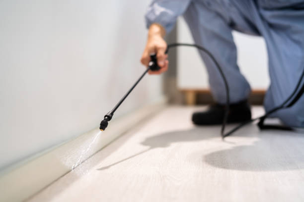 Professional exterminator conducting IPM assessment in Nederland