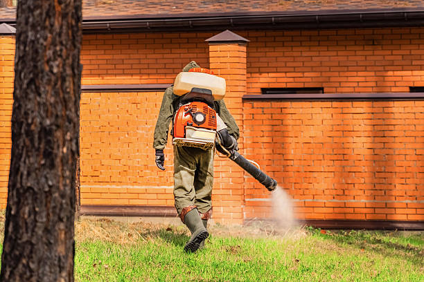 Bed Bug Clearance Verification and Documentation in Nederland